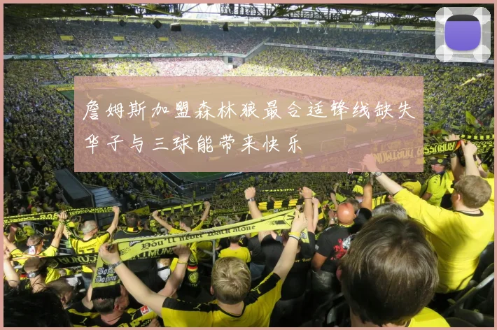 詹姆斯加盟森林狼最合适锋线缺失华子与三球能带来快乐